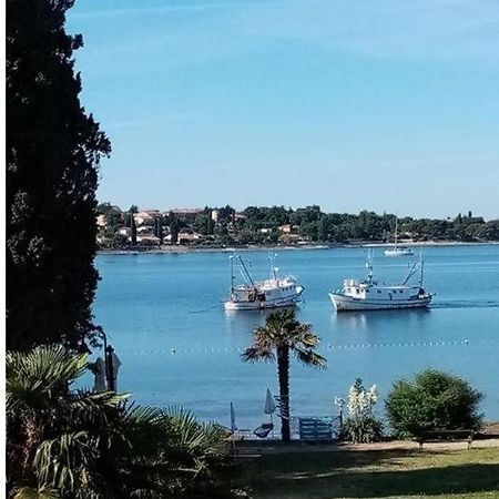 Apartment Villa Angelina, 70M From The Beach, Free Parking Novigrad Istria Exteriör bild