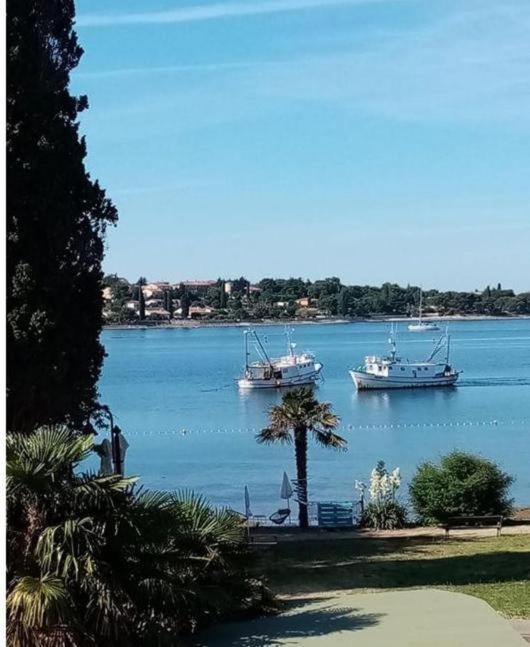 Apartment Villa Angelina, 70M From The Beach, Free Parking Novigrad Istria Exteriör bild