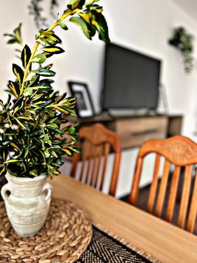 Apartment Villa Angelina, 70M From The Beach, Free Parking Novigrad Istria Exteriör bild