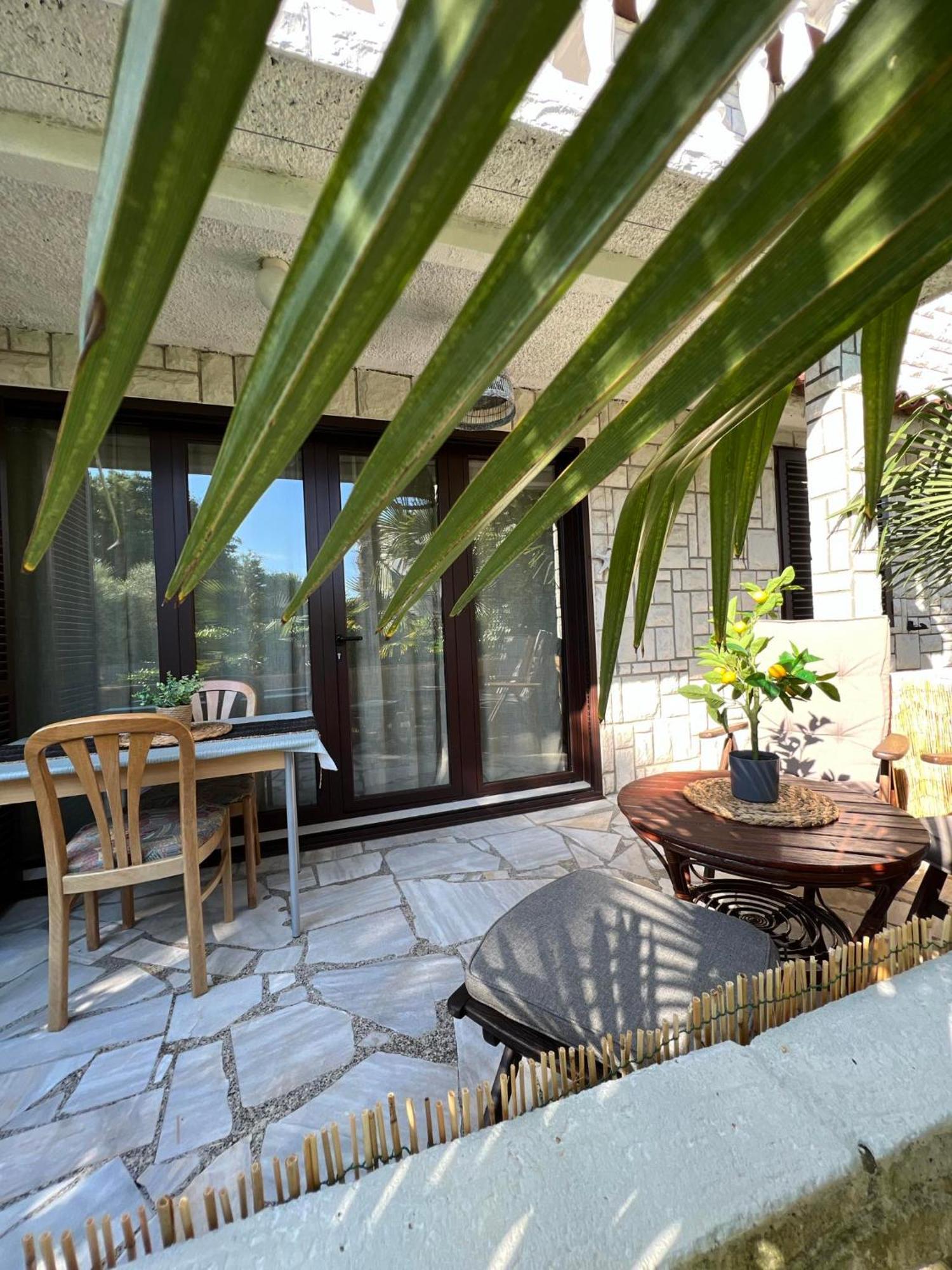 Apartment Villa Angelina, 70M From The Beach, Free Parking Novigrad Istria Exteriör bild