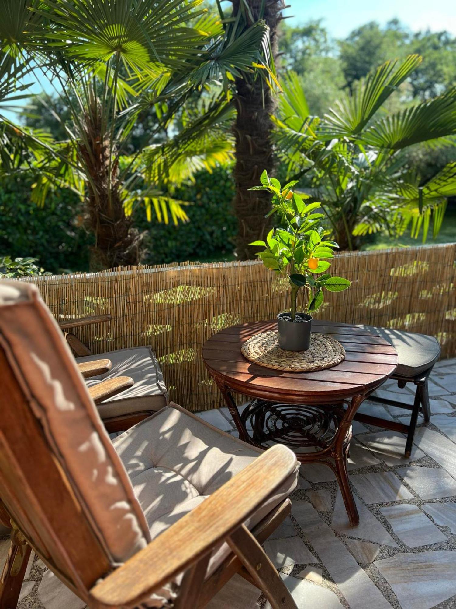 Apartment Villa Angelina, 70M From The Beach, Free Parking Novigrad Istria Exteriör bild