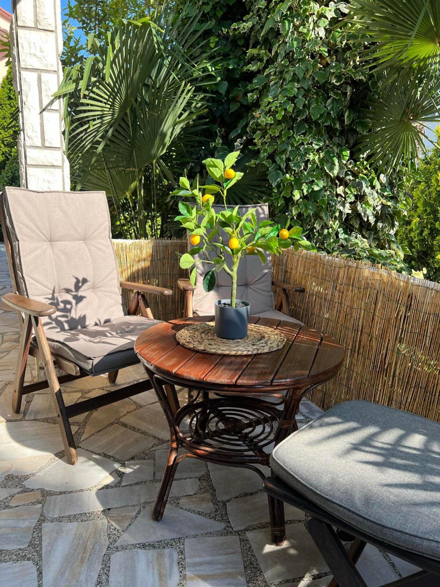 Apartment Villa Angelina, 70M From The Beach, Free Parking Novigrad Istria Exteriör bild